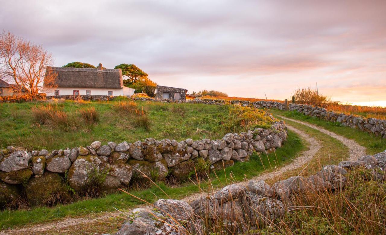 Cnoc Suain Villa Galway Buitenkant foto