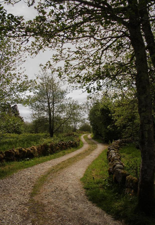 Cnoc Suain Villa Galway Buitenkant foto