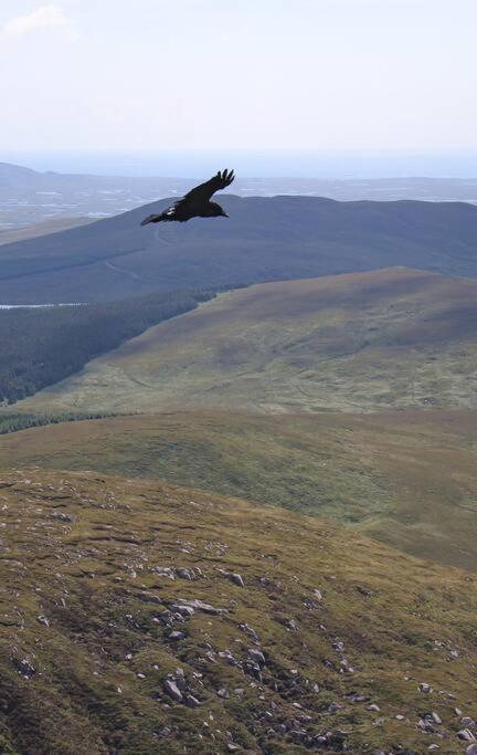 Cnoc Suain Villa Galway Buitenkant foto