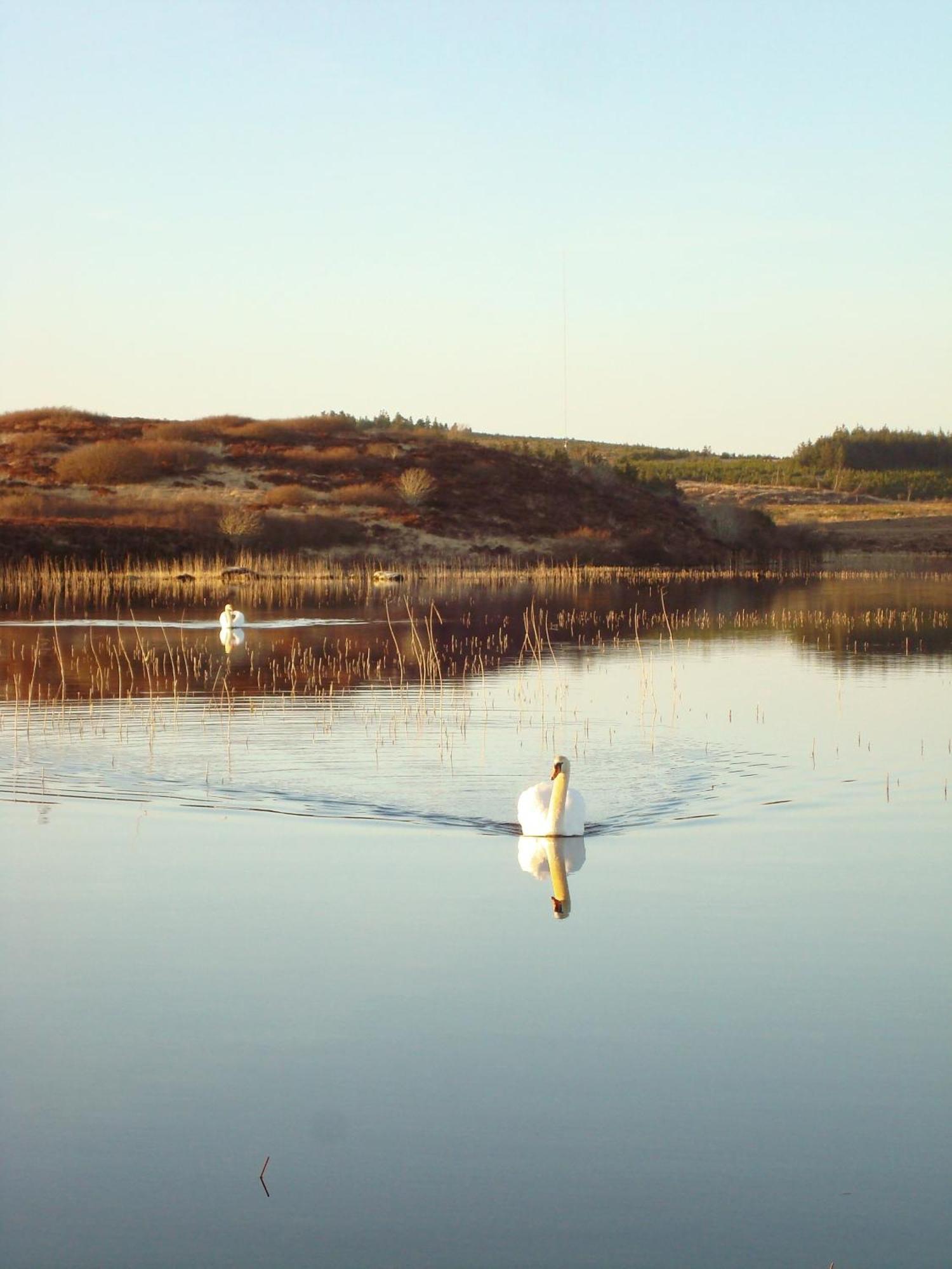 Cnoc Suain Villa Galway Buitenkant foto