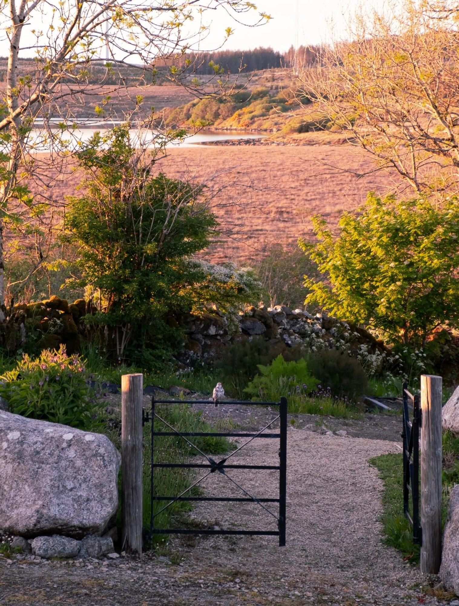 Cnoc Suain Villa Galway Buitenkant foto