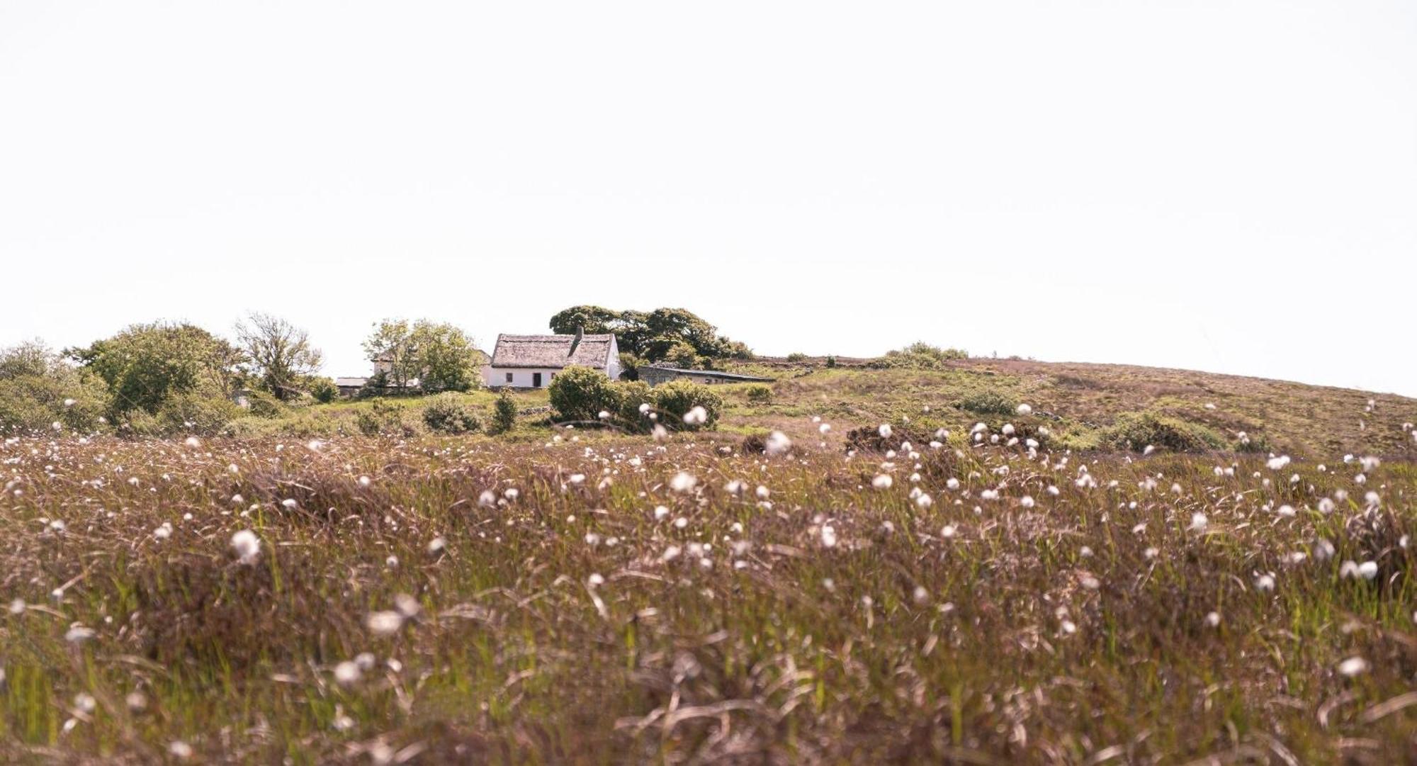 Cnoc Suain Villa Galway Buitenkant foto