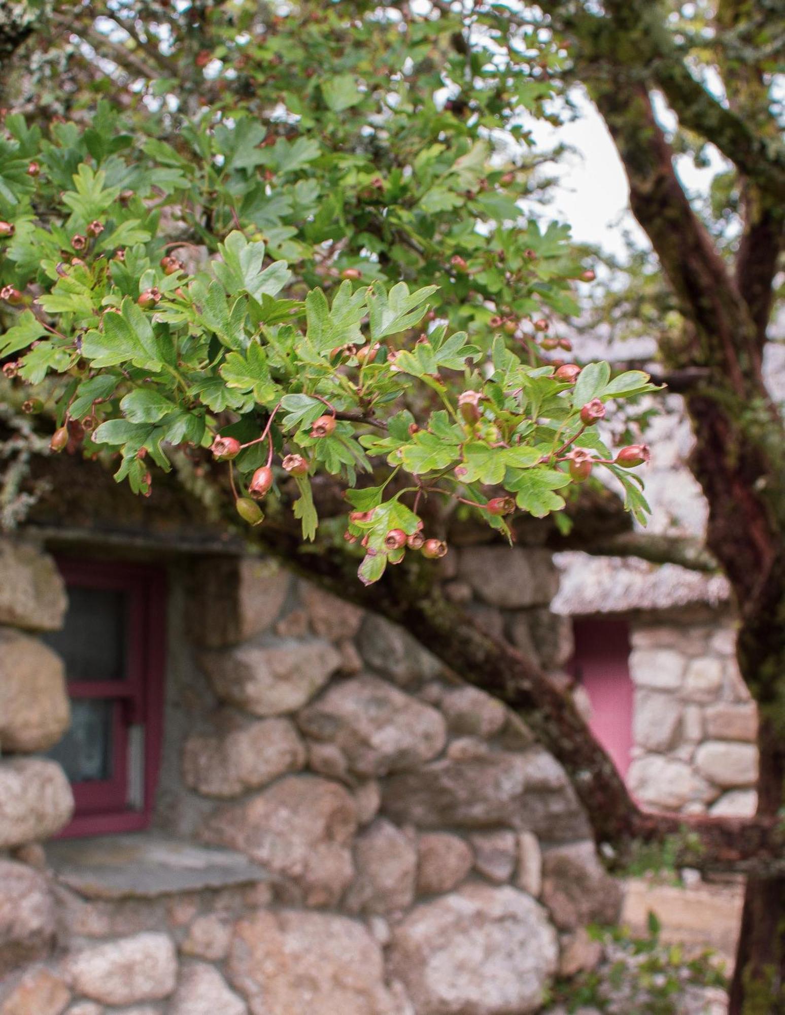 Cnoc Suain Villa Galway Kamer foto